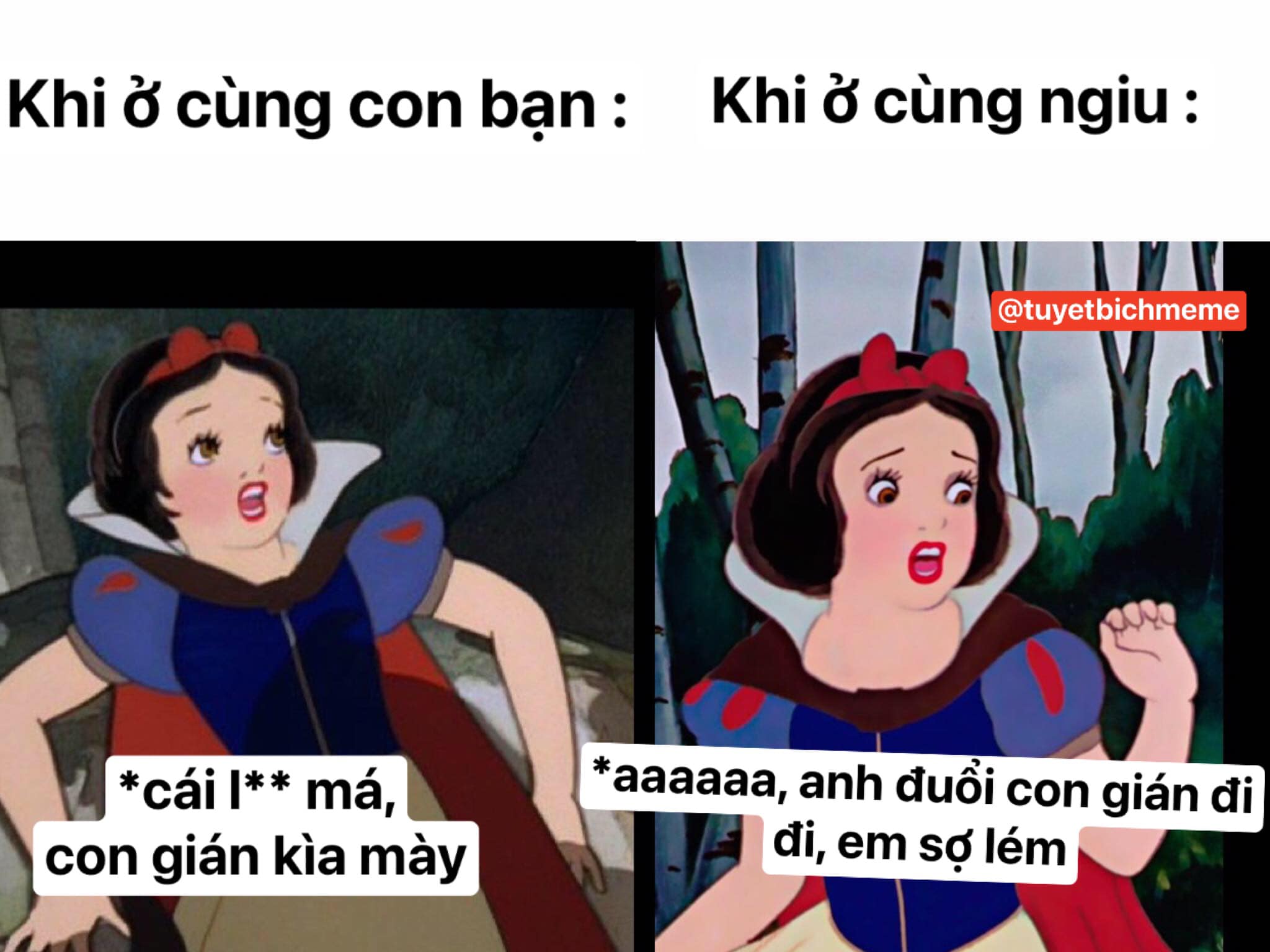 ảnh chế Meme mới nhất Cách làm Meme cực tấu hài HaloTravel