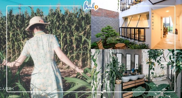 phuyen_lac-thon-homestay
