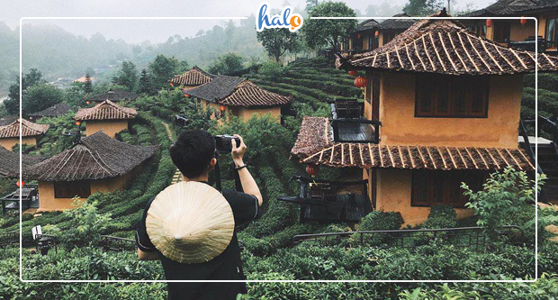 thailan_ban-rak-phuong-hoang-10
