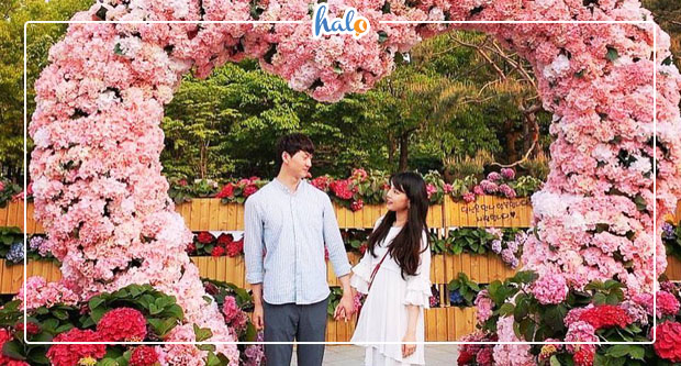 dalat_le-hoi-hoa-da-lat-2019