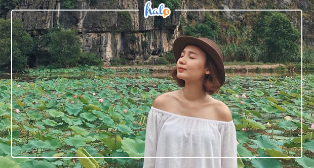 ninhbinh_mua-sen-no