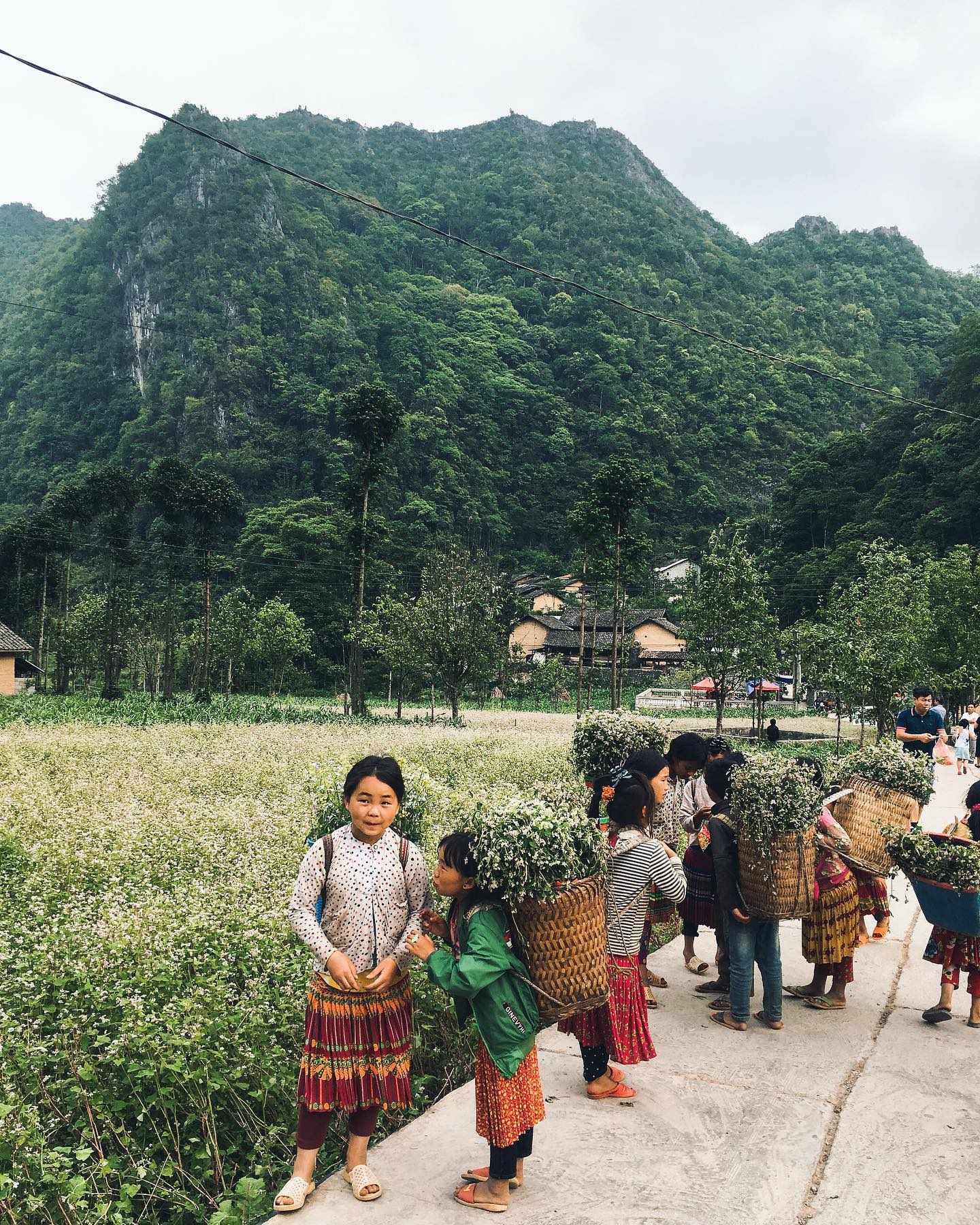 Hagiang_du-lich-mien-nui-phia-bac-thang-10-11