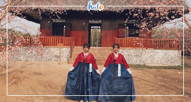tayninh_thuy-hoa-vien-chua-tay-phap