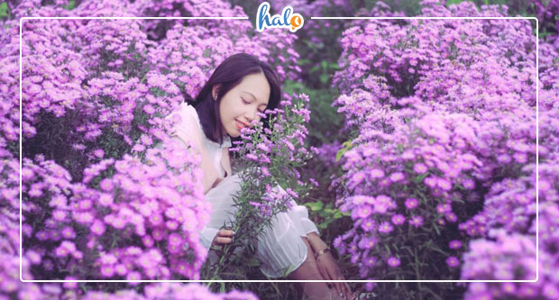 dalat_canh-dong-hoa-thach-thao-da-lat