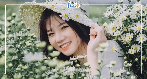 nam-dinh-dong-cuc-hoa-mi-00