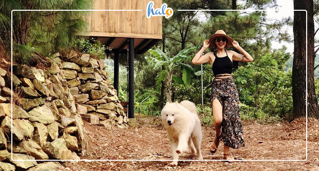 hanoi_homestay-soc-son-cho-nhom-dong-nguoi