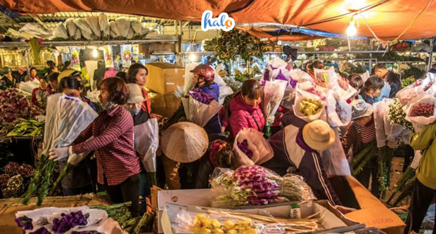 hanoi_cho-hoa-ha-noi
