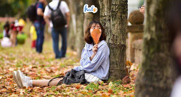 hanoi-con-duong-tinh-yeu-ha-noi-0