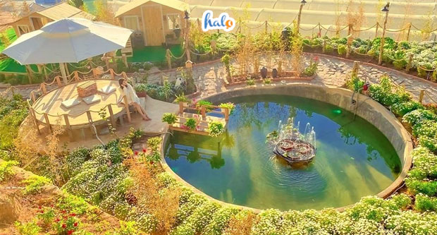 dalat_i-xora-da-lat