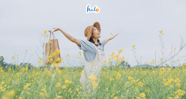 ha-noi- vuon-hoa-lang-co-duong-lam-0