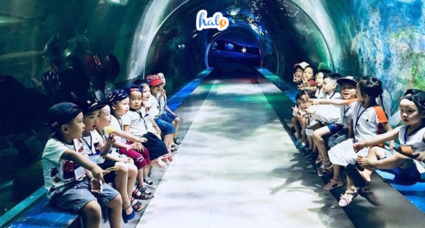 TOP 18 khu vui chơi trẻ em Hà Nội 2022 HOT HIT nhất – Halotravel