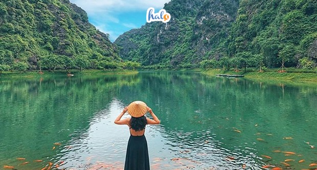 Chụp ảnh phong cảnh: Hãy thư giãn và tận hưởng vẻ đẹp tự nhiên của Việt Nam qua đôi mắt của những nhiếp ảnh gia tài năng. Khung cảnh lung linh, tuyệt vời của núi rừng, biển cả hoặc đồng cỏ xanh mướt sẽ khiến bạn hài lòng và bị cuốn hút. Xem các bức ảnh phong cảnh đầy sức sống sẽ khiến bạn muốn khám phá tất cả những nơi đó một cách sâu sắc hơn.