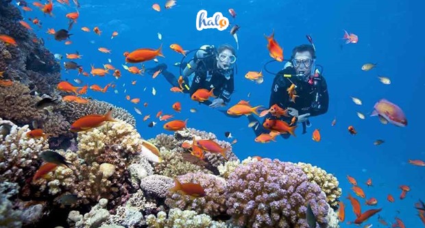 lan-bien-nha-trang