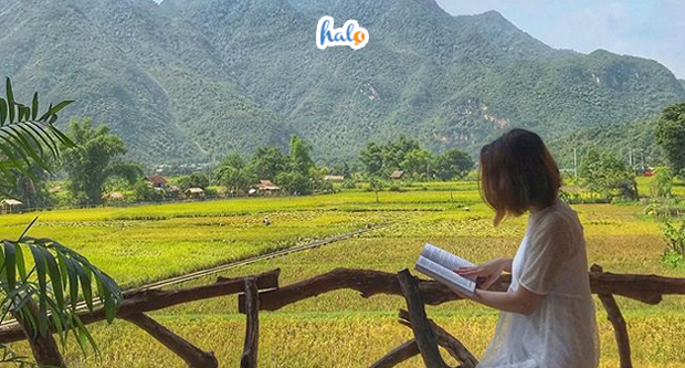 Bản Lác Mai Châu Hòa Bình: Kinh nghiệm ăn chơi chi tiết - Halo Travel