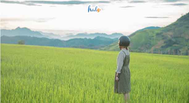 #9 địa điểm du lịch gần Hà Nội 2 ngày 1 đêm cho dịp cuối tuần – Halo Travel