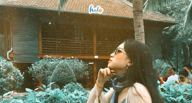 nha san bac ho