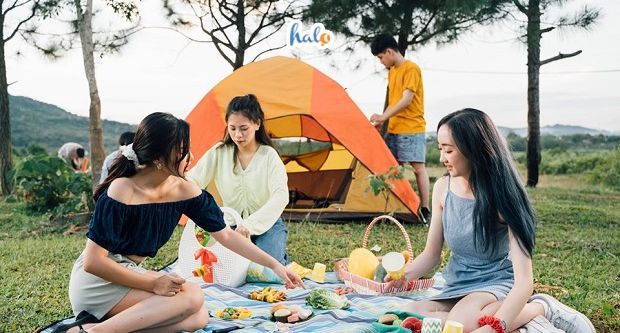 Khu Cắm Trại Sơn Tinh Camp Ở Đâu Và Giá Vé 2022 Mới -Halotravel