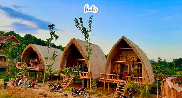green bamboo lodge