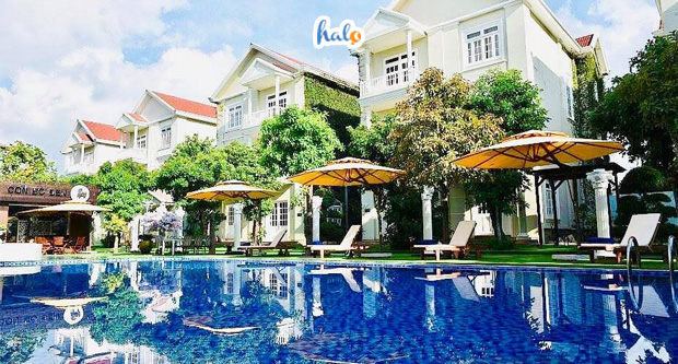 silver creek resort