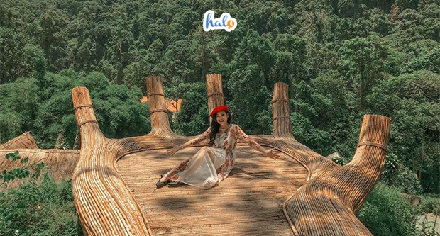 Hoa Son Dien Trang Da Lat