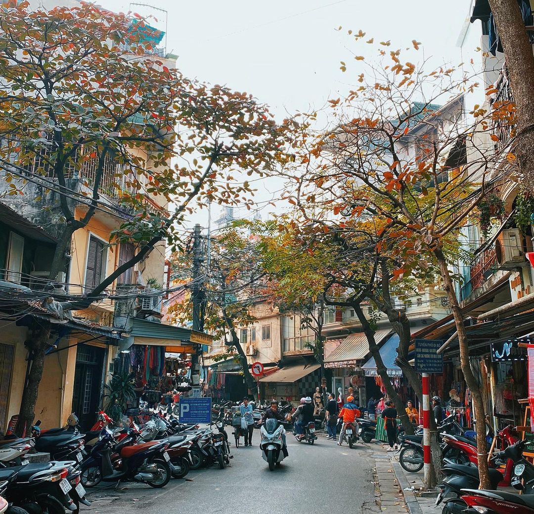 Những điều thú vị về Hà Nội 36 phố phường, bạn đã biết?