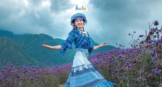 sapa