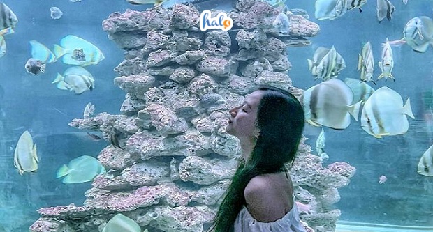 vien hai duong hoc nha trang