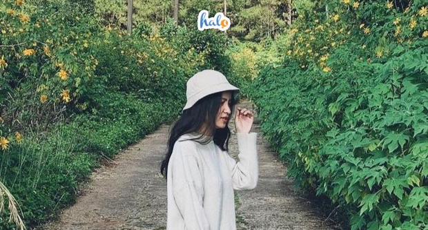 ham rong gia lai
