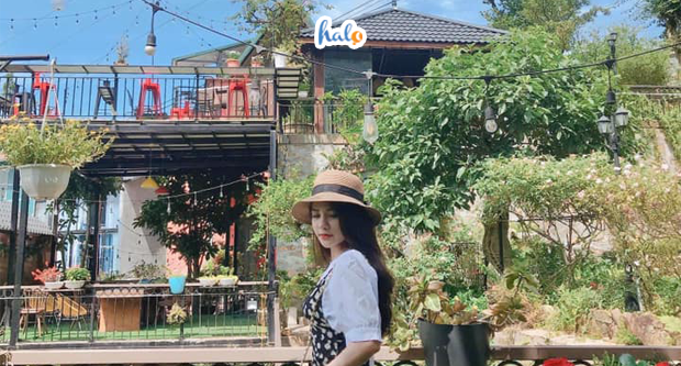 biet thu hoa hong tam dao