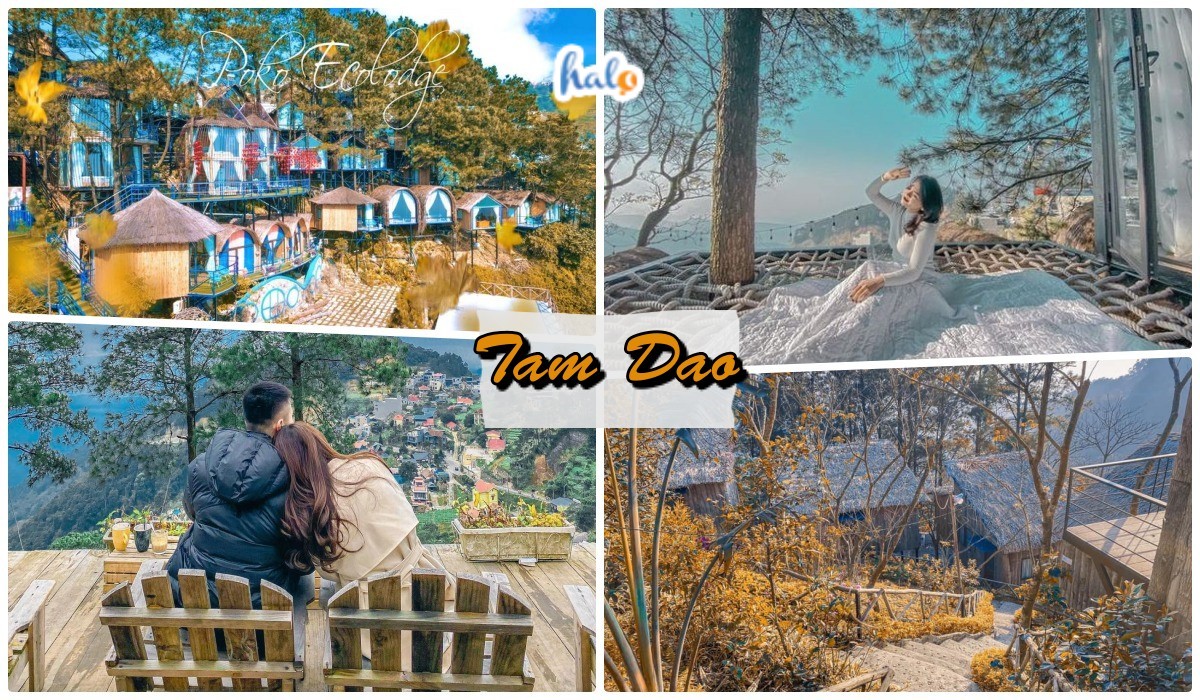 bungalow tam dao
