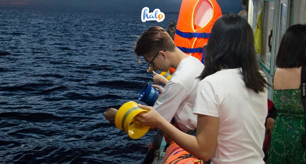 anh-bia-tour-cau-muc-phu-quoc