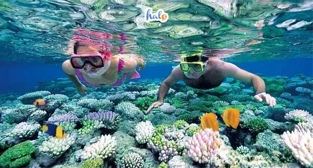 anh-bia-tour-nha-trang-3-ngay-2-dem