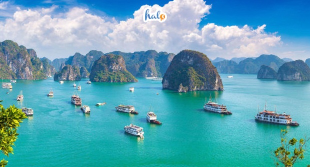 Trải nghiệm tour du lịch Quảng Ninh 3 ngày 2 đêm chi tiết nhất - HaloTravel
