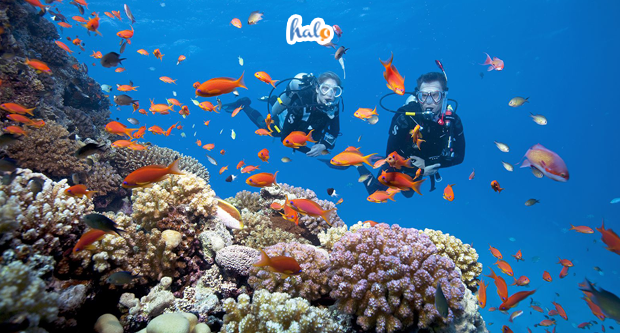 tour lan bien phu quoc