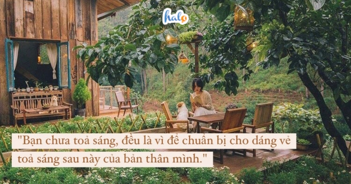 nhung cau noi hay ve cuoc song