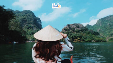 tour Hà Nội Ninh Bình 1 ngày