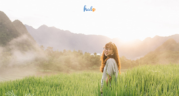 cach ghim bai viet tren facebook logo