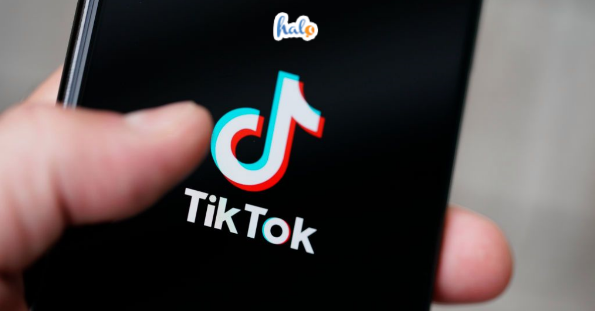 Cách đổi tên TikTok nhanh chóng chỉ với vài thao tác đơn giản - HaloTravel