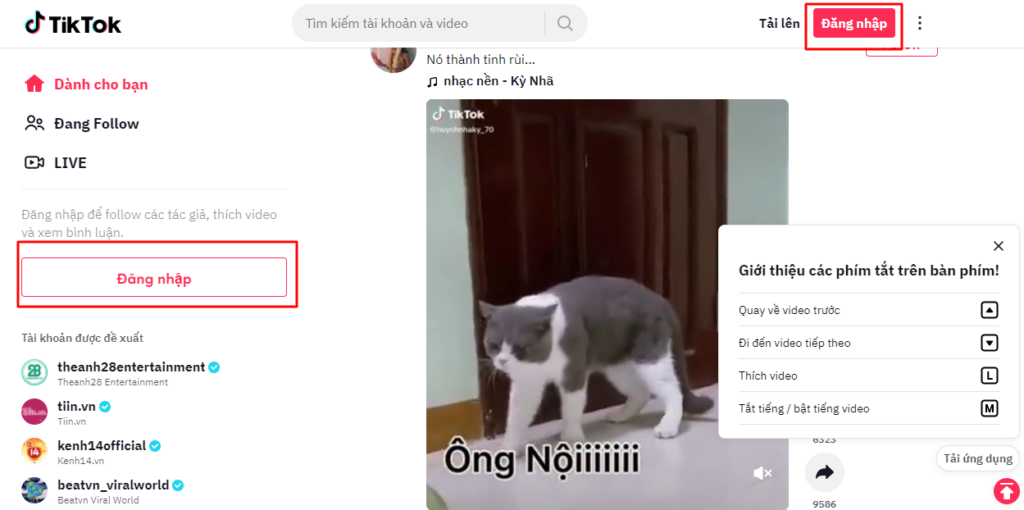 Top 99 thay avatar tiktok trên máy tính đang gây sốt trên mạng