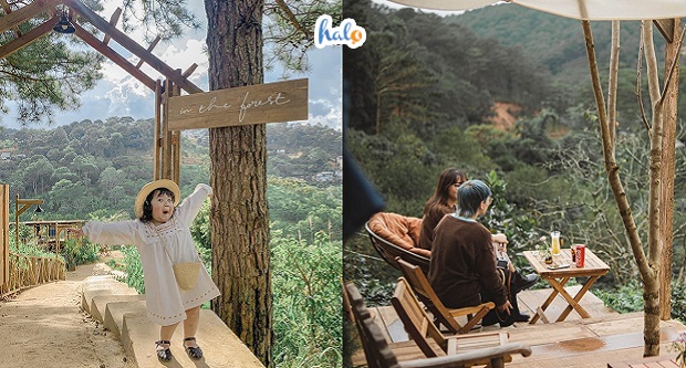 in the forest da lat 9