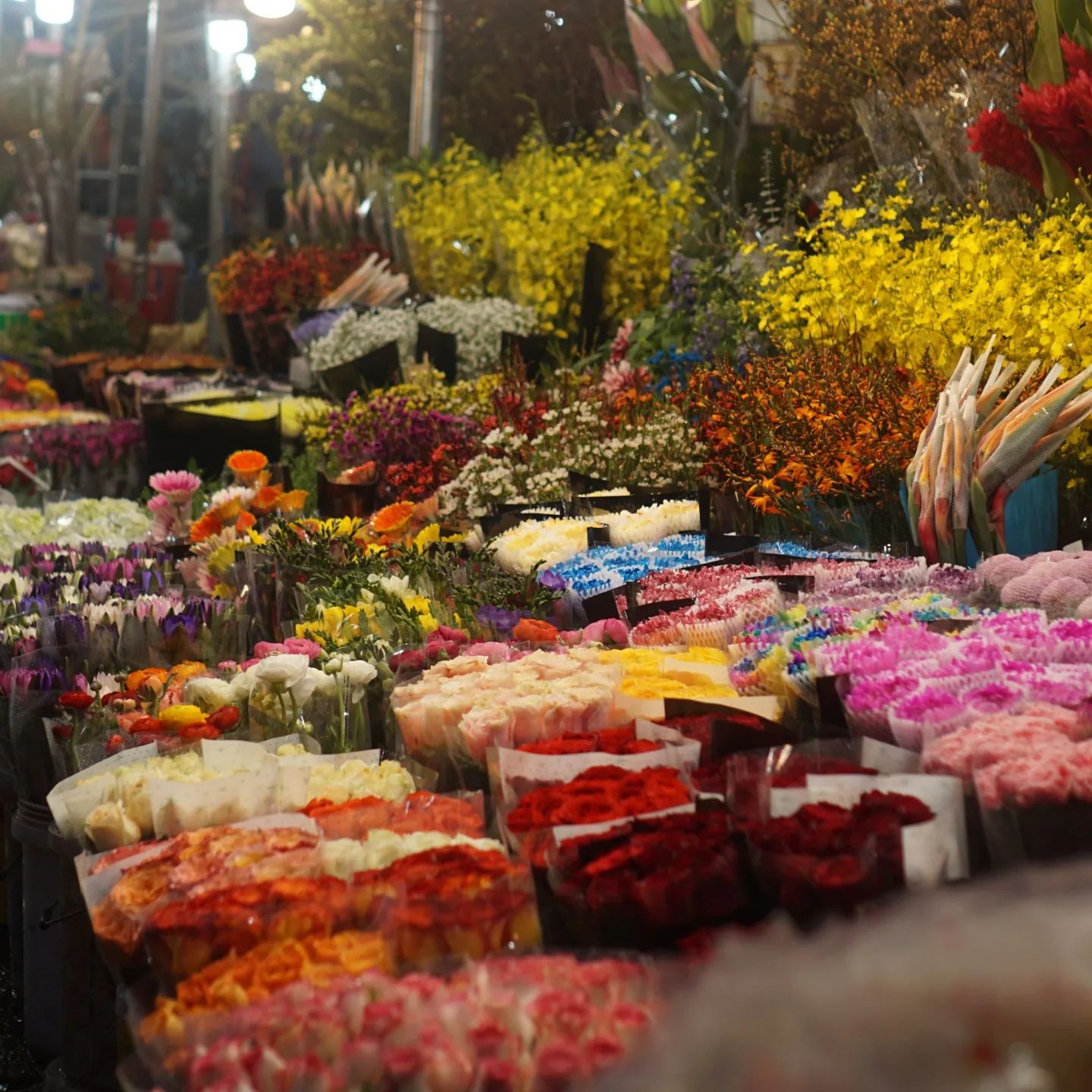 chợ hoa quảng bá 3
