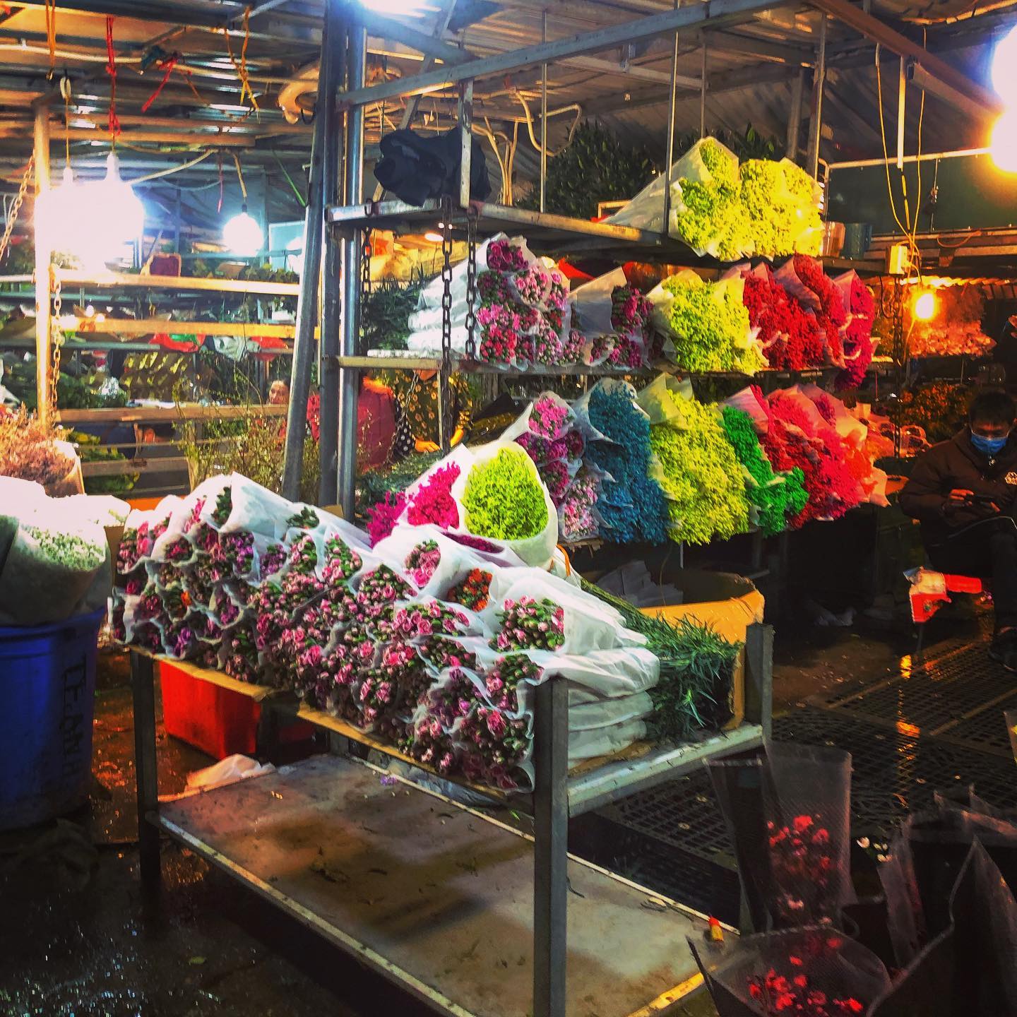 khám phá chợ hoa đêm