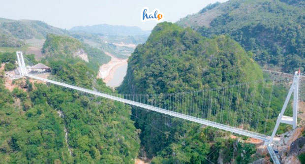 cau kinh bach long 10