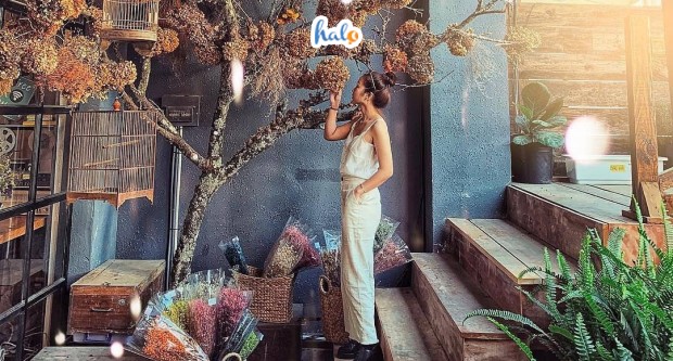 Tổng hợp các nhà hàng, quán ăn ngon, quán cafe đẹp ở Hải Dương