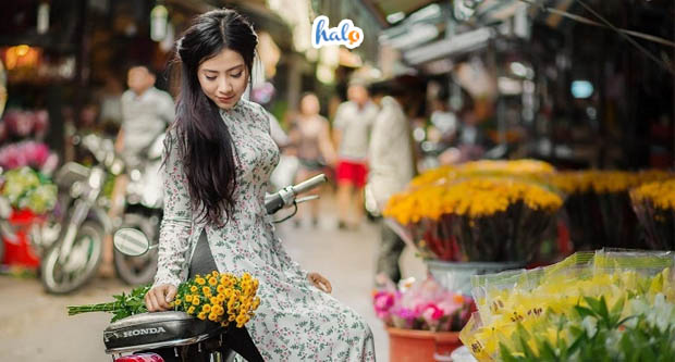 Khám phá chợ hoa Hồ Thị Kỷ mở xuyên đêm tại Sài Gòn – HaloTravel