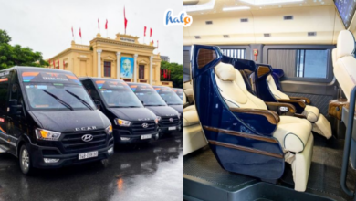 xe limousine Hai Phong Quang Ninh chat luong