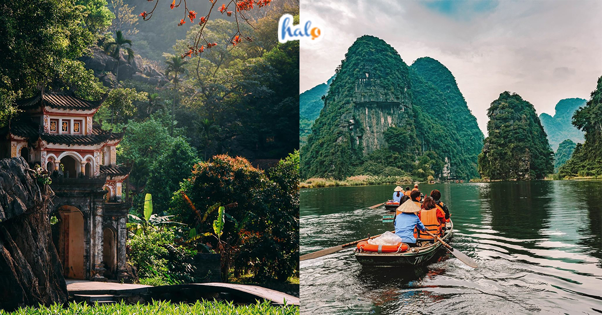 gia ve tam coc