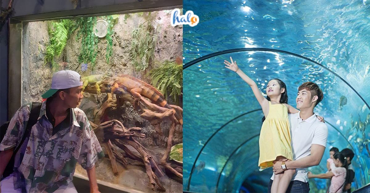 thuy cung vinpearl nha trang