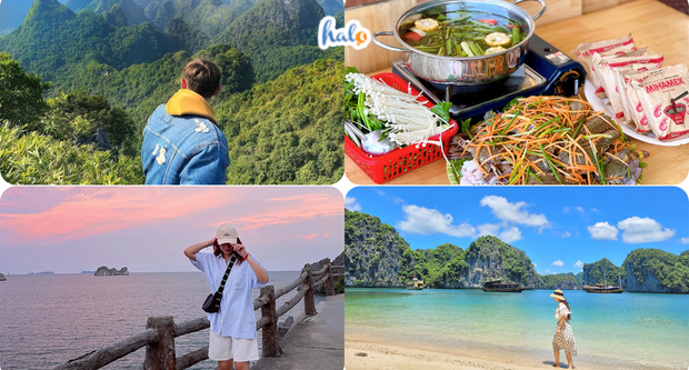 Trọn bộ kinh nghiệm du lịch Cát Bà 1 ngày: Chơi gì? Ăn ở đâu? - HaloTravel