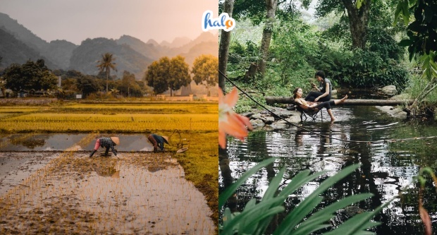 lang viet hai cat ba